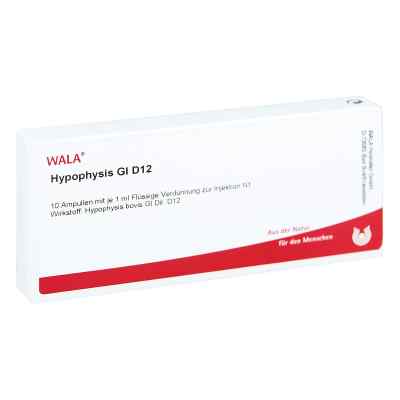 Hypophysis Gl D 12 Amp. 10X1 ml od WALA Heilmittel GmbH PZN 03357010