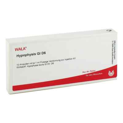 Hypophysis Gl D 6 ampułki 10X1 ml od WALA Heilmittel GmbH PZN 02829493