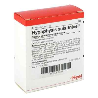 Hypophysis Suis Injeele ampułki 10 szt. od Biologische Heilmittel Heel GmbH PZN 00513455