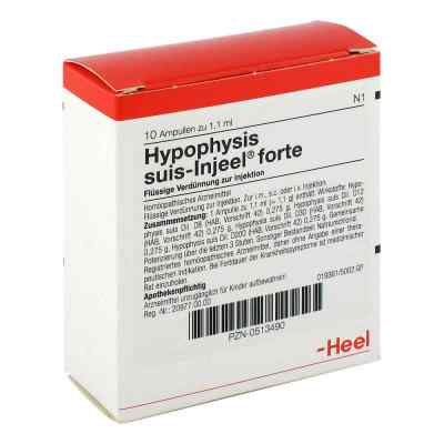 Hypophysis Suis Injeele forte ampułki 10 szt. od Biologische Heilmittel Heel GmbH PZN 00513490