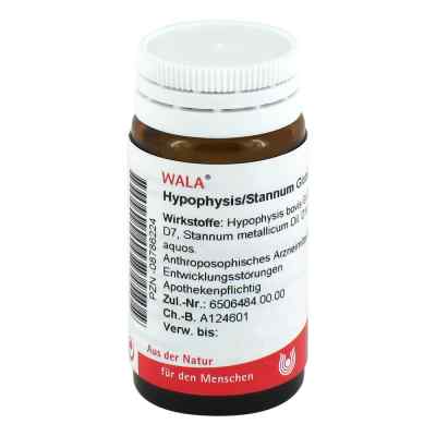 Hypophysis/stannum w granulkach 20 g od WALA Heilmittel GmbH PZN 08786224