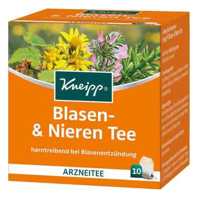 Kneipp herbata ziolowa dla zdrowego pęcherza i nerek 10 szt. od Kneipp GmbH PZN 06310983
