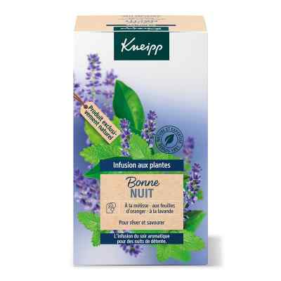 Kneipp Kräutertee Gute Nacht Tee Filterbeutel 20 szt. od Kneipp GmbH PZN 17604682