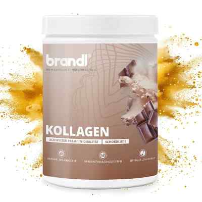 Kollagen Pulver Schokolade