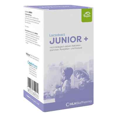 Lactobact Junior proszek 60 g od HLH BioPharma GmbH PZN 04652722