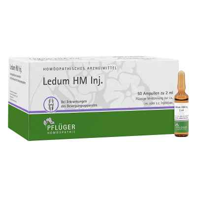 Ledum Hm Injekt Amp. 50 szt. od Homöopathisches Laboratorium Ale PZN 01033349