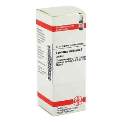 Leonurus Cardiaca Urtinktur 20 ml od DHU-Arzneimittel GmbH & Co. KG PZN 02926256