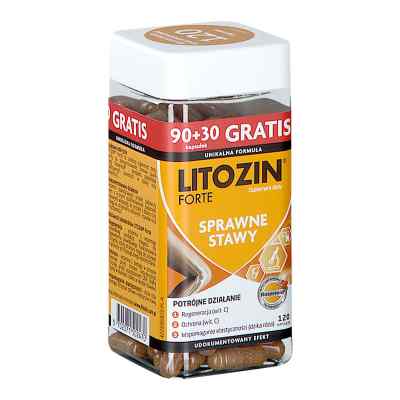 Litozin Forte kapsułki 120  od ORKLA CARE A/S PZN 08303206