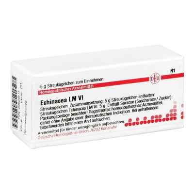 Lm Echinacea Hab Vi Globuli 5 g od DHU-Arzneimittel GmbH & Co. KG PZN 04504513