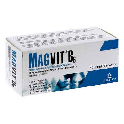 Magvit magnez dojelitowy tabletki 48 mg + 5 mg 50  od GLAXOSMITHKLINE PHARMACEUTICALS  PZN 08300330