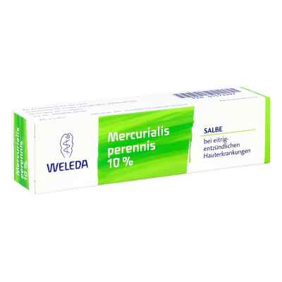 Mercurialis Perennis 10% maść 25 g od WELEDA AG PZN 01572997
