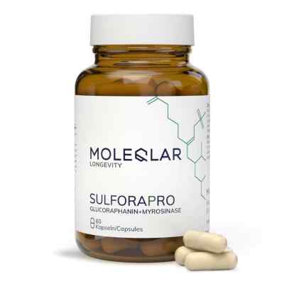 Moleqlar Sulforapro Glucoraphanin+Myrosinase Kapsułka (n) 60 szt. od MoleQlar GmbH PZN 19790743