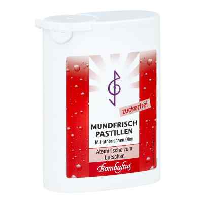 Mundfrisch Pastillen zuckerfrei 35 g od Bombastus-Werke AG PZN 14232731