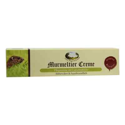 Murmeltier Creme mit Latschenkiefer
