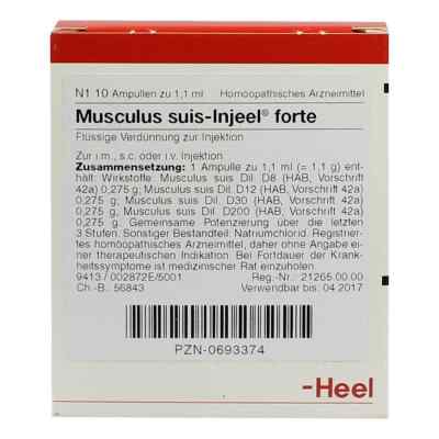 Musculus Suis forte w ampułkach do iniekcji