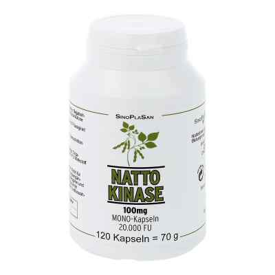 Nattokinase 100 mg Mono 20.000 Fu kapsułki 120 szt. od SinoPlaSan GmbH PZN 13894128
