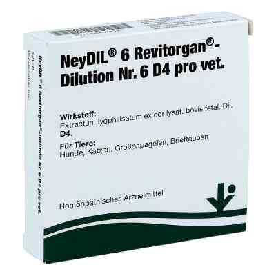 Neydil Nr.6 Revitorgan Dil.d 4 pro vet. 5X2 ml od vitOrgan Arzneimittel GmbH PZN 06487813