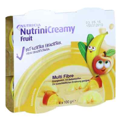 Nutrini Creamy jogurt dla dzieci o smaku owocowym 4X100 g od Danone Deutschland GmbH PZN 10356057