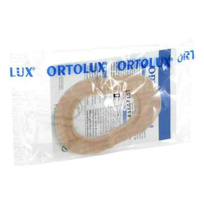 Ortolux Uhrglasverband small
