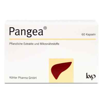 Pangea kapsułki 60 szt. od Köhler Pharma GmbH PZN 16007501