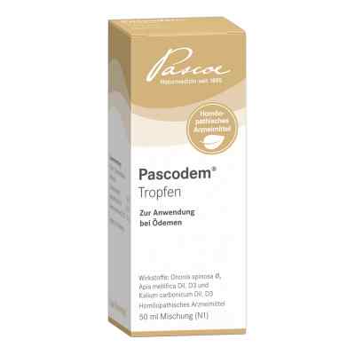 Pascodem Tropfen 50 ml od Pascoe pharmazeutische Präparate PZN 07503425