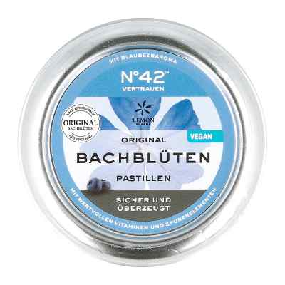 Pastylki z kwiatami Bacha 50 g od Hager Pharma GmbH PZN 09074477
