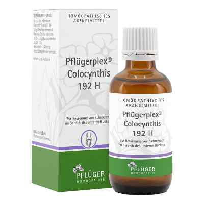 Pfluegerplex Colocynthis 192 H Tropfen 50 ml od Homöopathisches Laboratorium Ale PZN 02888260