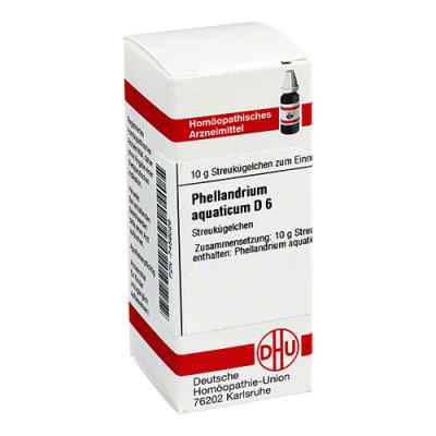 Phellandrium Aquaticum D 6 Globuli 10 g od DHU-Arzneimittel GmbH & Co. KG PZN 07459026