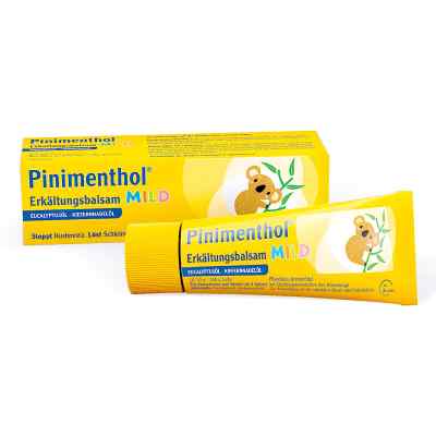 Pinimenthol Erkaelt. balsam łagodny 20 g od Dr.Willmar Schwabe GmbH & Co.KG PZN 03745321