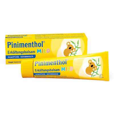 Pinimenthol Erkaelt.balsam mild 50 g od Dr.Willmar Schwabe GmbH & Co.KG PZN 07779943