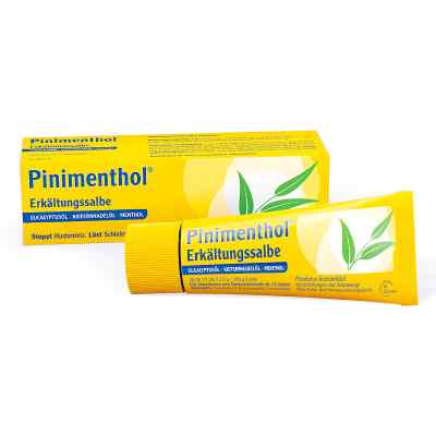 Pinimenthol Erkaelt.salbe Euc/kief/m krem 20 g od Dr.Willmar Schwabe GmbH & Co.KG PZN 03745284