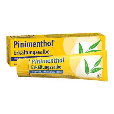Pinimenthol maść na przeziebienie z eukaliptusem 50 g od Dr.Willmar Schwabe GmbH & Co.KG PZN 07779966