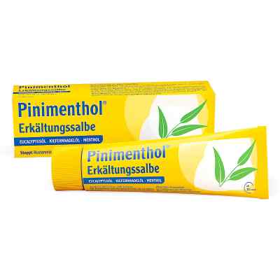 Pinimenthol maść na przeziebienie z eukaliptusem 50 g od Dr.Willmar Schwabe GmbH & Co.KG PZN 07779966