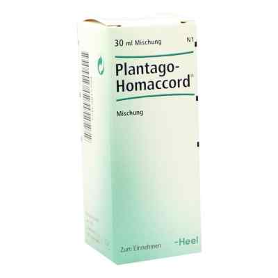 Plantago Homaccord w kroplach 30 ml od Biologische Heilmittel Heel GmbH PZN 00815794