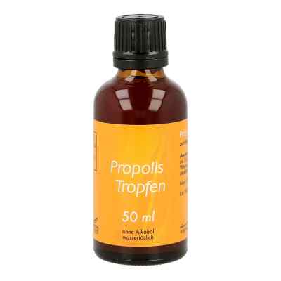 Propolis Tropfen o. Alkohol 50 ml od allcura Naturheilmittel GmbH PZN 00831385