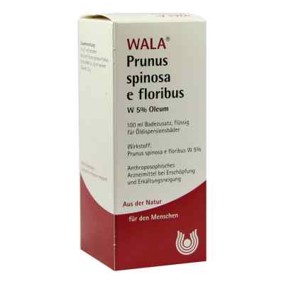 Prunus Spinosa E Flor. W 5% Oleum 100 ml od WALA Heilmittel GmbH PZN 02088708