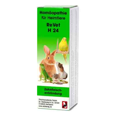 Revet H 24 vet. Globuli 10 g od Dr.RECKEWEG & Co. GmbH PZN 03703038