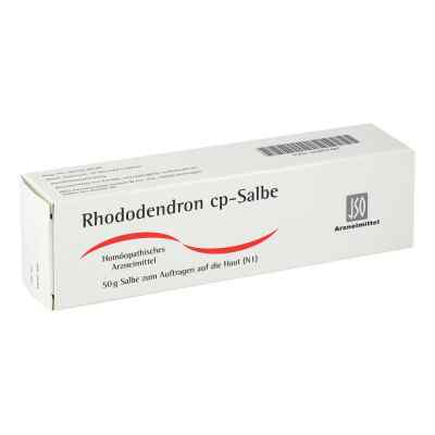 Rhododendron cp maść 50 g od ISO-Arzneimittel GmbH & Co. KG PZN 05957487