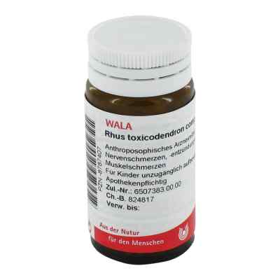 Rhus Tox. Comp. Globuli 20 g od WALA Heilmittel GmbH PZN 08787407