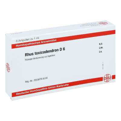 Rhus Toxicodendron D 6 Ampullen