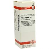 Ribes Nigrum D 2 Dil. 20 ml od DHU-Arzneimittel GmbH & Co. KG PZN 07179048