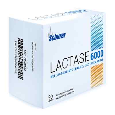 Schurer Lactase 6000 Kapseln 90 szt. od Apologistics GmbH PZN 16528223