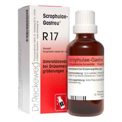 Scrophulae Gastreu R 17 krople