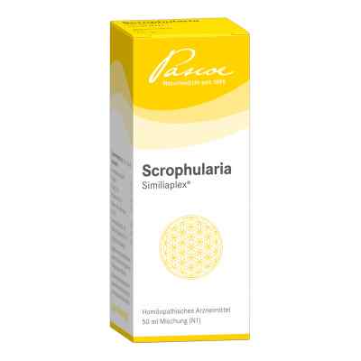 Scrophularia Similiaplex Tropfen 50 ml od Pascoe pharmazeutische Präparate PZN 01354438