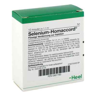 Selenium Homaccord w ampułkach