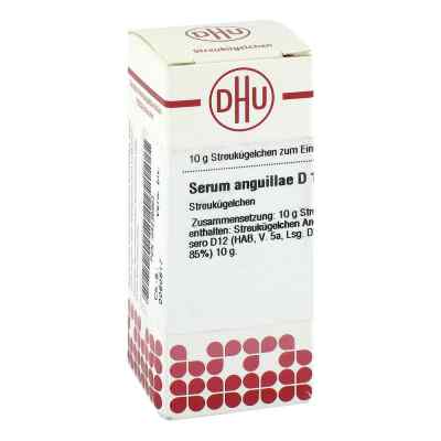 Serum Anguillae D 12 Globuli 10 g od DHU-Arzneimittel GmbH & Co. KG PZN 04236863