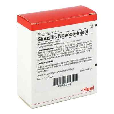 Sinusitis Nosode - Injeel ampułki  10 szt. od Biologische Heilmittel Heel GmbH PZN 00939852