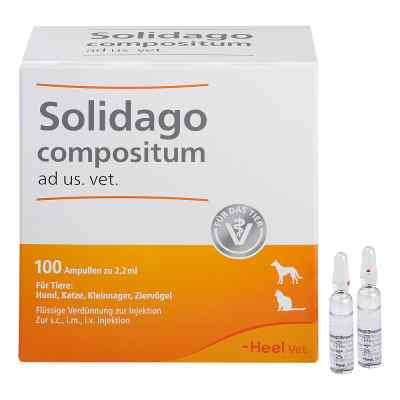 Solidago Compositum ad us. vet. ampułki 100 szt. od Biologische Heilmittel Heel GmbH PZN 01224090