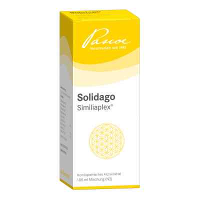 Solidago Similiaplex Tropfen 100 ml od Pascoe pharmazeutische Präparate PZN 05463791