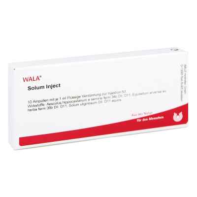 Solum Inject ampułki 10X1 ml od WALA Heilmittel GmbH PZN 00084741